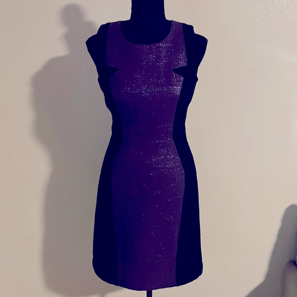 Milly Sleeveless Dress- Purple/Black Size 4